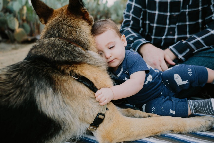 Desert Garden Family Portraits – Photo by Let's Frolic Together