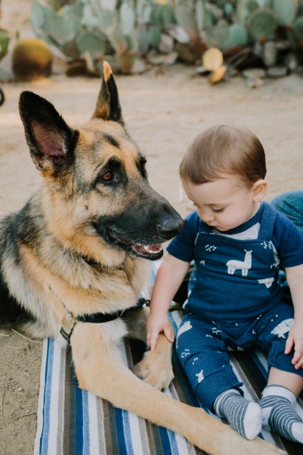 Desert Garden Family Portraits – Photo by Let's Frolic Together