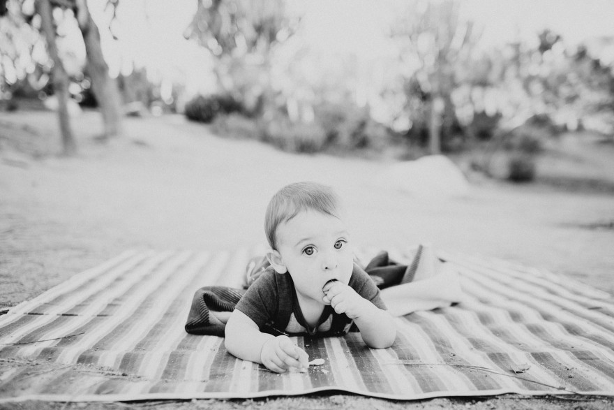 Desert Garden Family Portraits – Photo by Let's Frolic Together