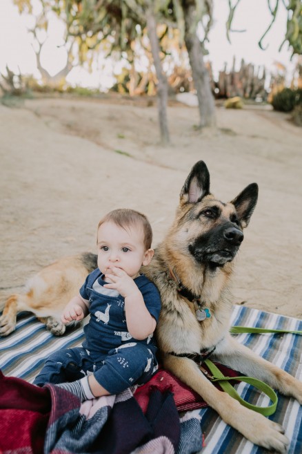 Desert Garden Family Portraits – Photo by Let's Frolic Together
