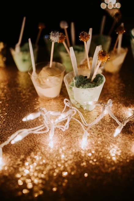 Twinkly Backyard Wedding Bash – Photo by Let's Frolic Together