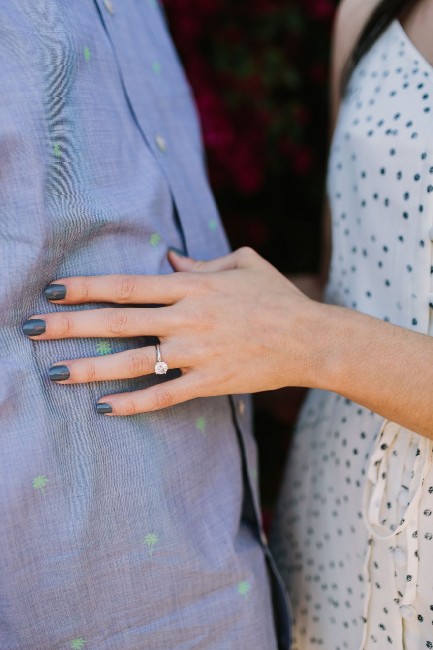 A Cuddly Cactus Engagement &ndash; Photo by Let's Frolic Together
