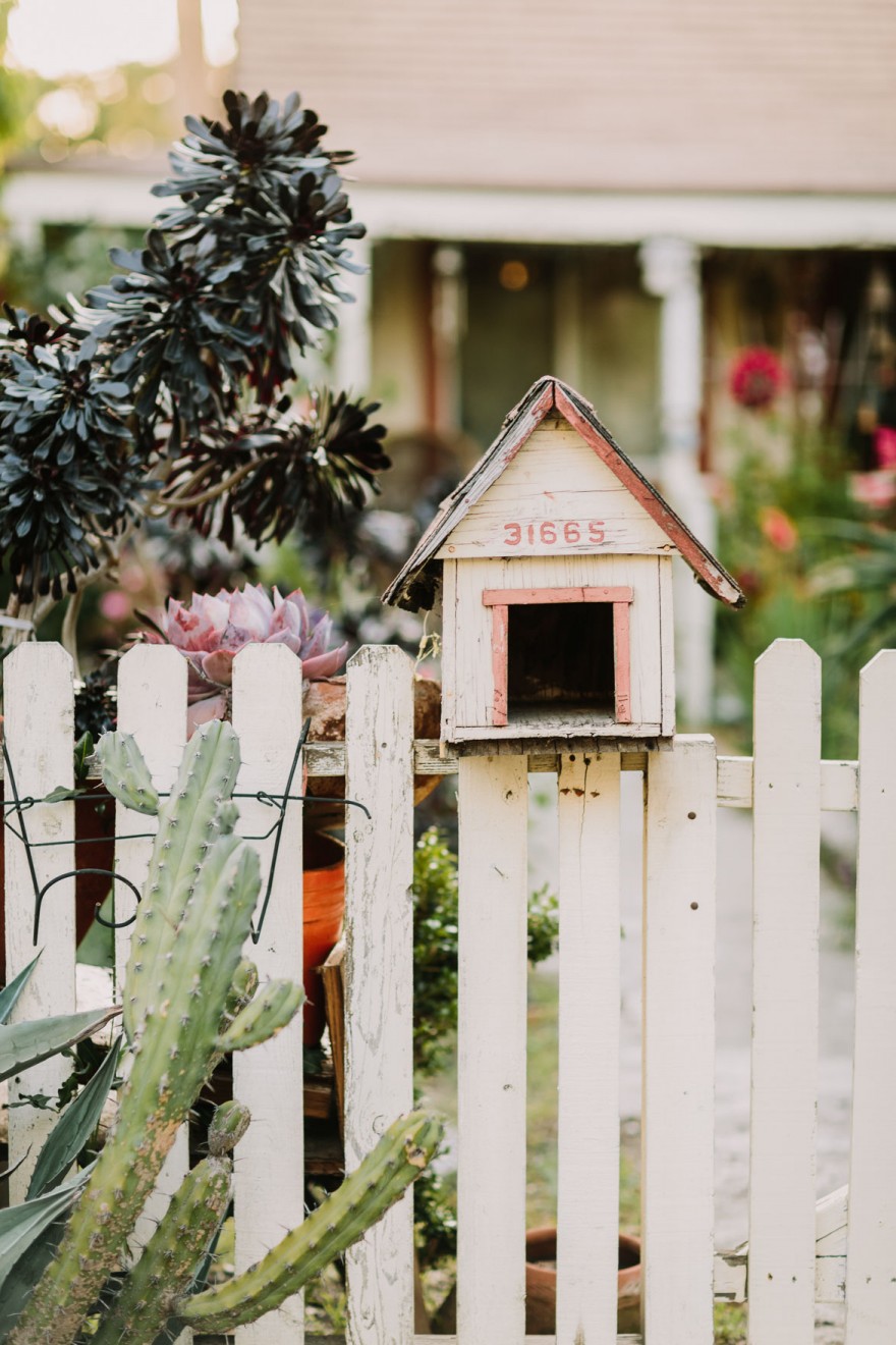 A Cuddly Cactus Engagement &ndash; Photo by Let's Frolic Together