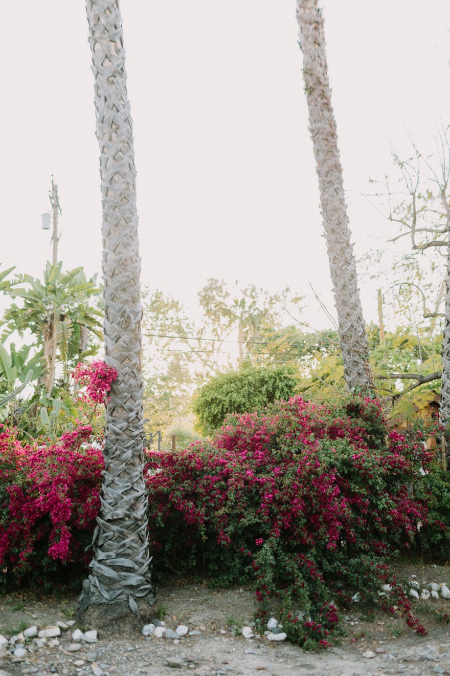 A Cuddly Cactus Engagement &ndash; Photo by Let's Frolic Together