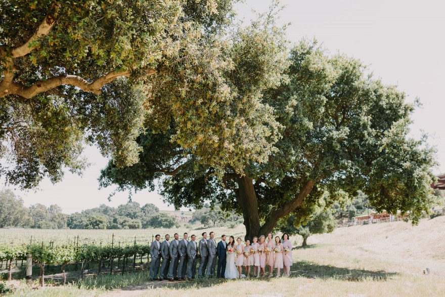 A Vineyard & Backyard Bash – Photo by Let's Frolic Together