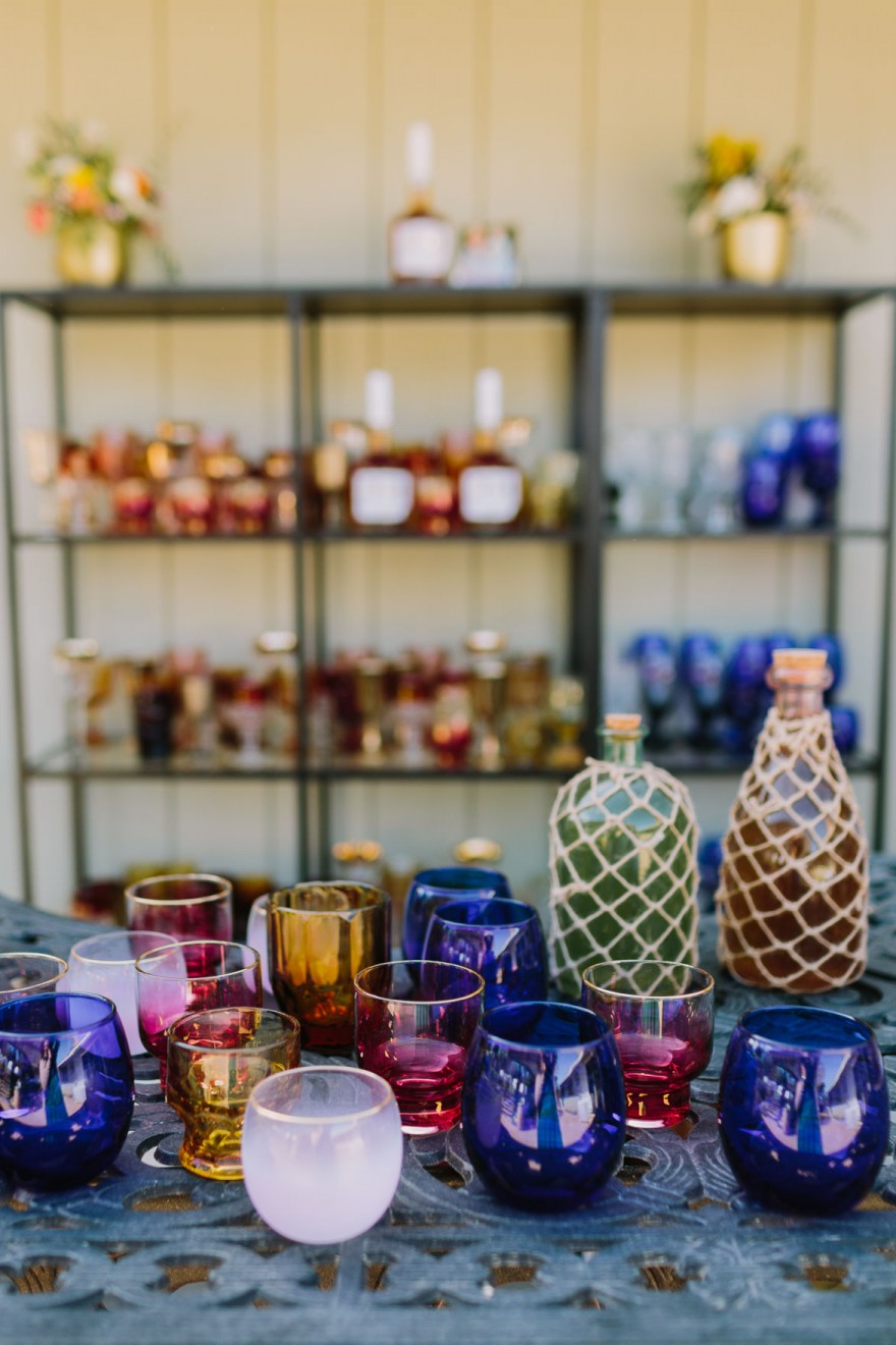 A Vineyard & Backyard Bash – Photo by Let's Frolic Together