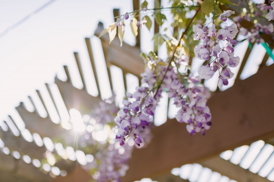 A Vineyard & Backyard Bash – Photo by Let's Frolic Together