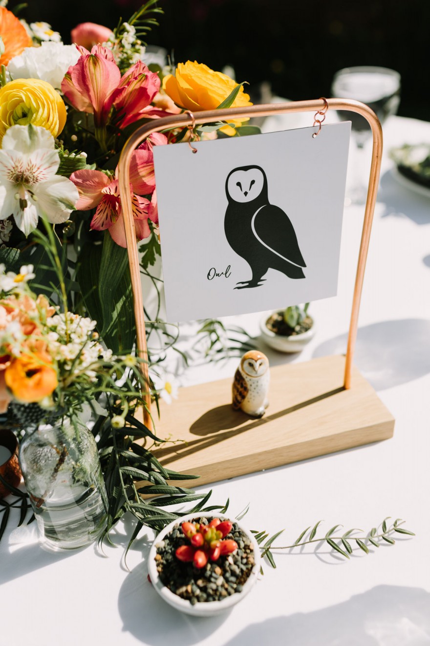 A Vineyard & Backyard Bash – Photo by Let's Frolic Together