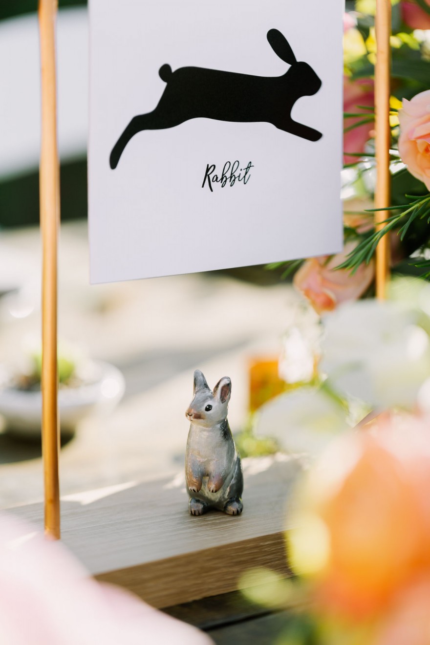A Vineyard & Backyard Bash – Photo by Let's Frolic Together