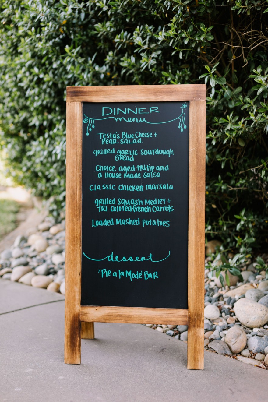 A Vineyard & Backyard Bash – Photo by Let's Frolic Together