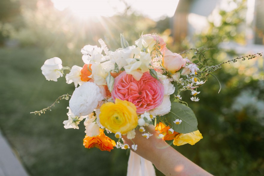 A Vineyard & Backyard Bash – Photo by Let's Frolic Together