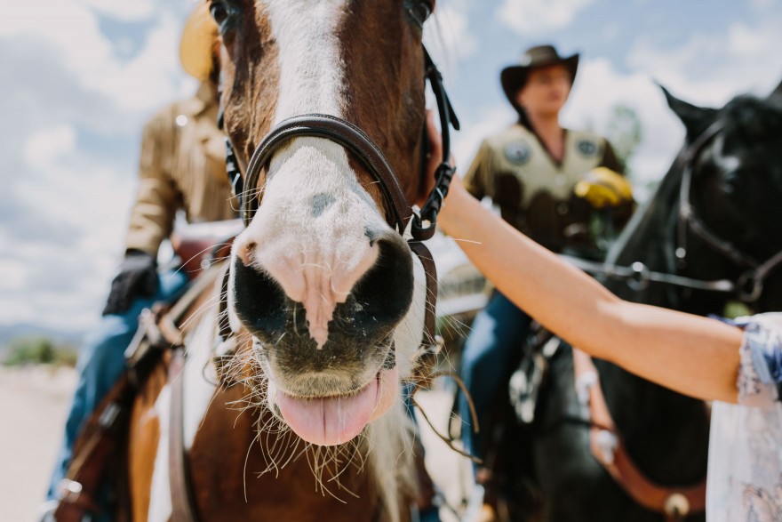 Mystic Western Boho Wedding – Photo by Let's Frolic Together