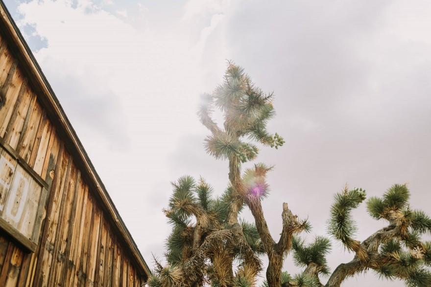 Mystic Western Boho Wedding – Photo by Let's Frolic Together