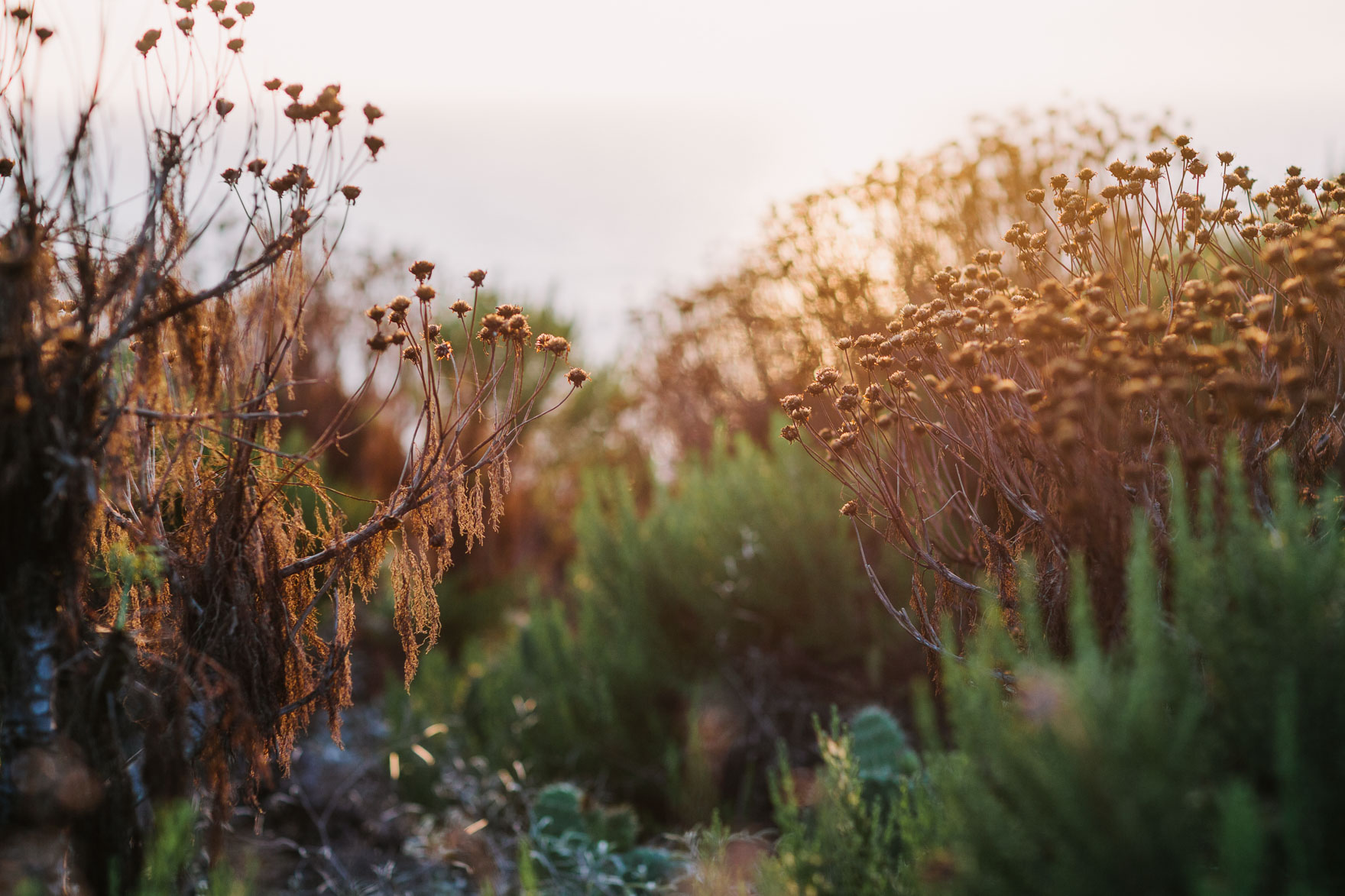 A Majestic Malibu Meander – Photo by Let's Frolic Together