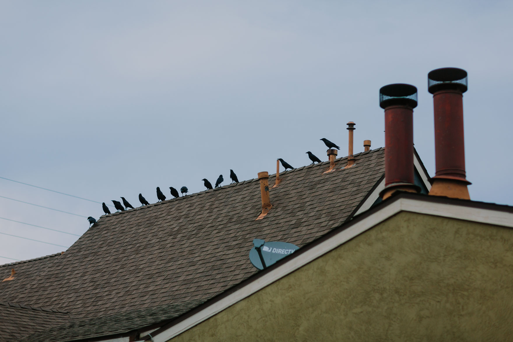 Local Adventures in North Park – Photo by Let's Frolic Together