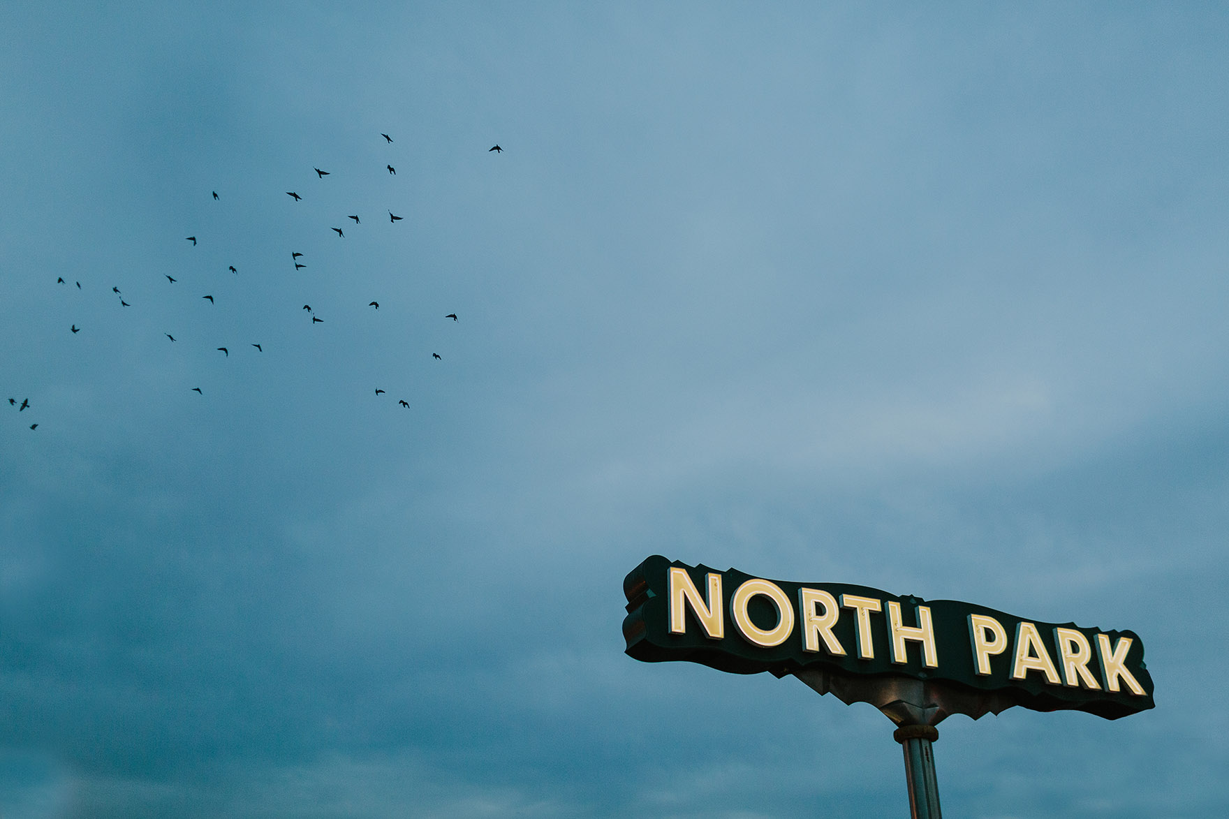 Local Adventures in North Park – Photo by Let's Frolic Together