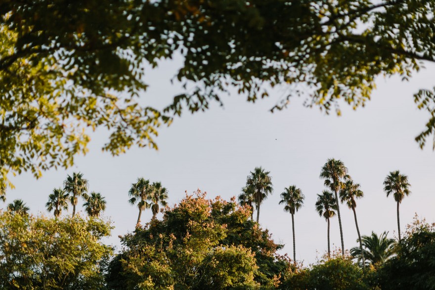 Modern Santa Barbara Garden Wedding Bash &ndash; Photo by Let's Frolic Together