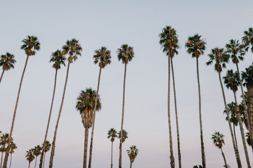 Modern Santa Barbara Garden Wedding Bash &ndash; Photo by Let's Frolic Together