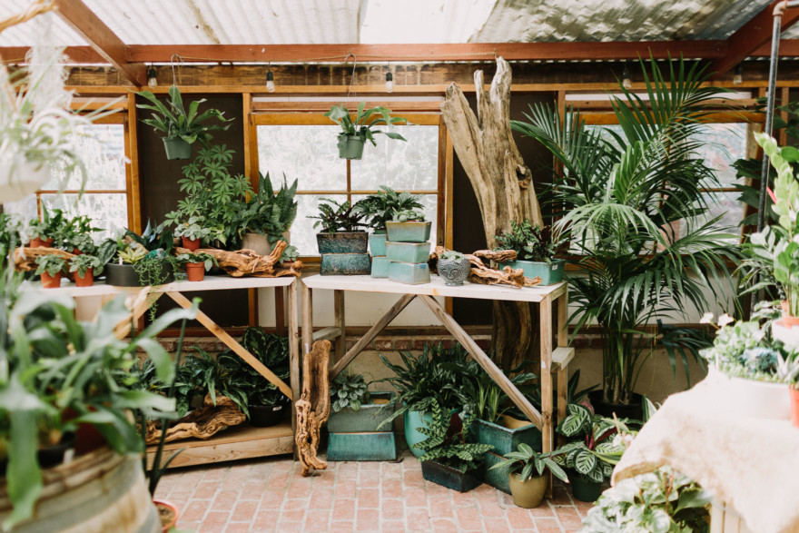A Barrels & Branches Bash &ndash; Photo by Let's Frolic Together