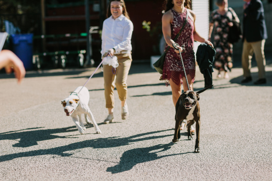 A Barrels & Branches Bash &ndash; Photo by Let's Frolic Together