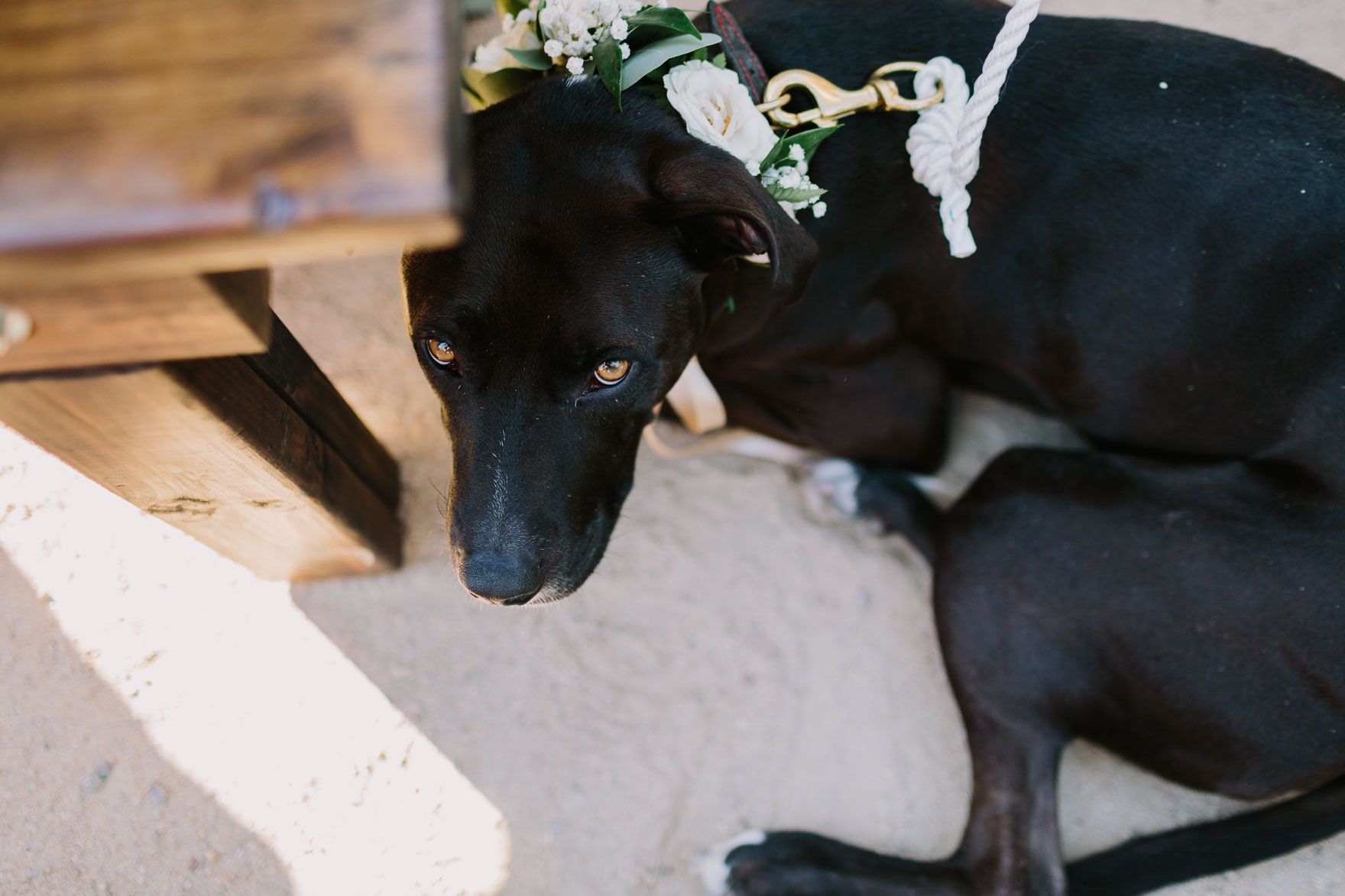 A Barrels & Branches Bash – Photo by Let's Frolic Together