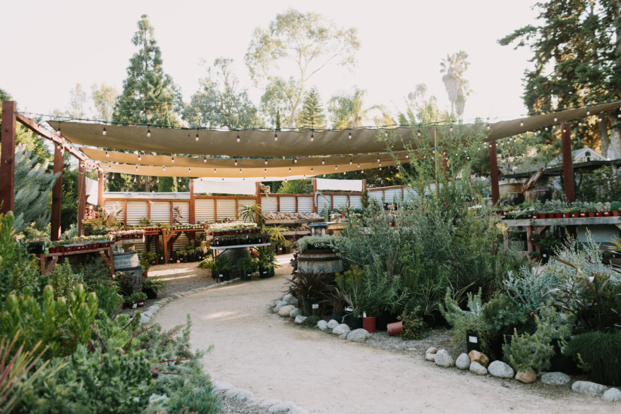 A Barrels & Branches Bash &ndash; Photo by Let's Frolic Together