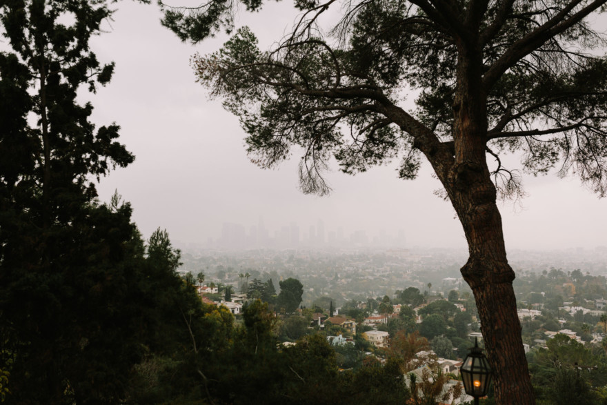 Quirky Celebration of Love & Plants – Photo by Let's Frolic Together