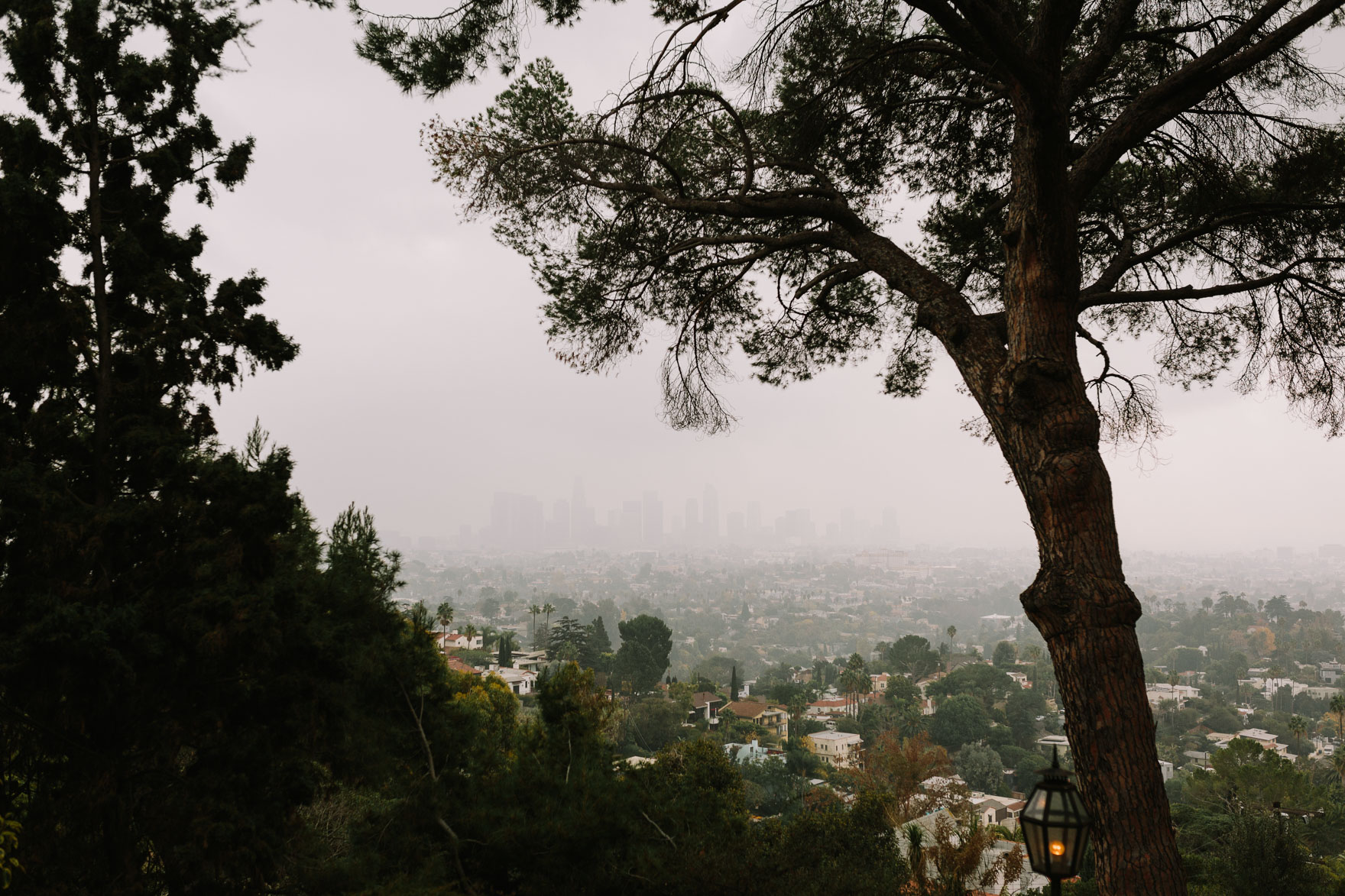 Quirky Celebration of Love & Plants – Photo by Let's Frolic Together
