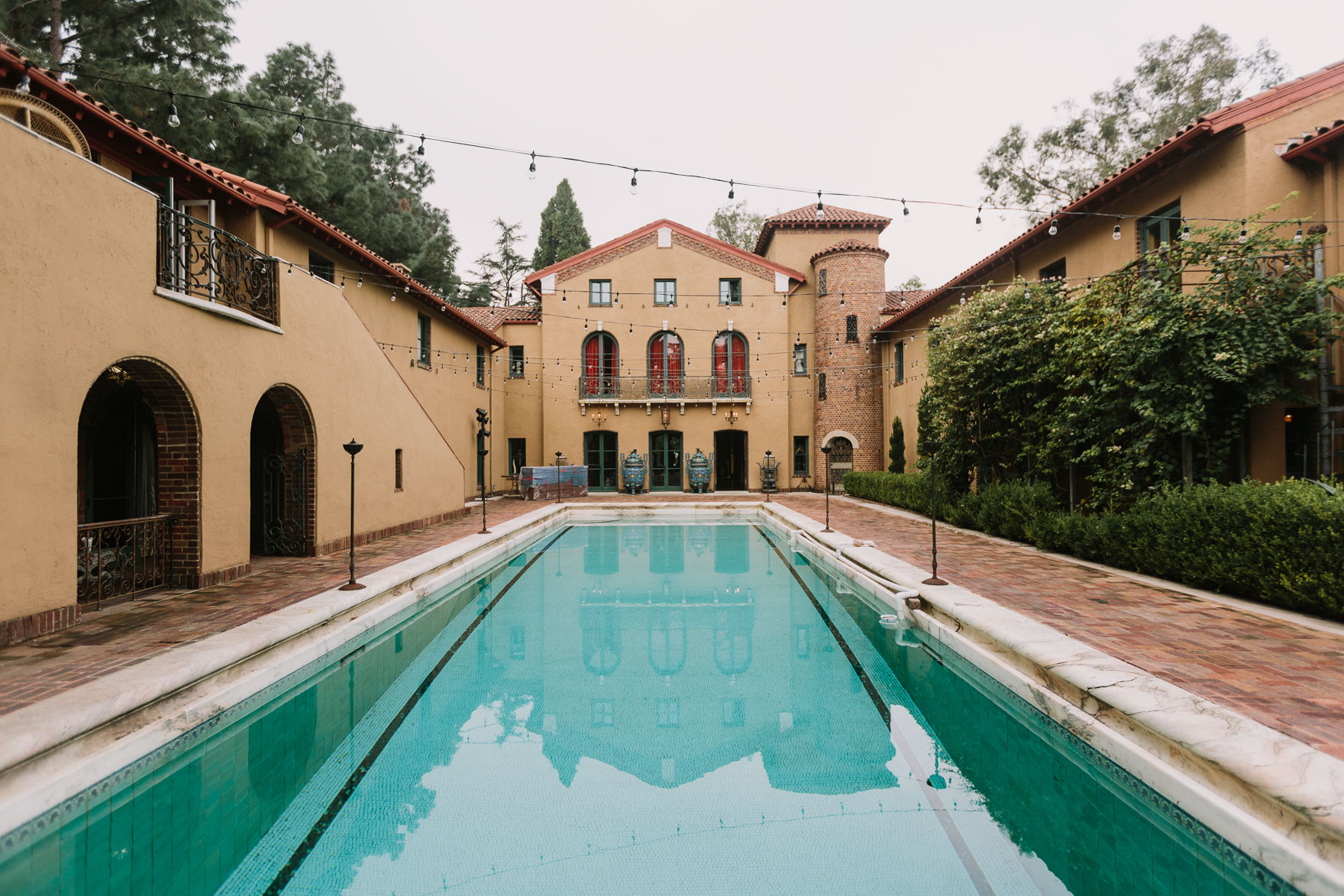 Quirky Celebration of Love & Plants – Photo by Let's Frolic Together