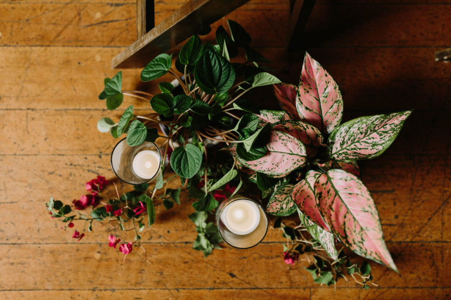 Quirky Celebration of Love & Plants – Photo by Let's Frolic Together