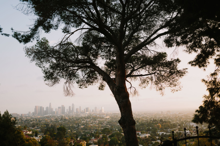Quirky Celebration of Love & Plants – Photo by Let's Frolic Together