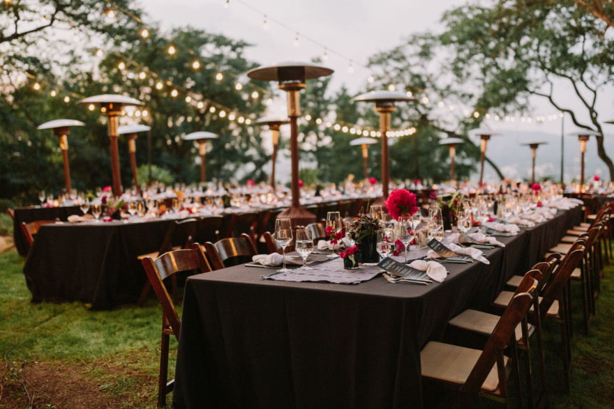 Quirky Celebration of Love & Plants – Photo by Let's Frolic Together
