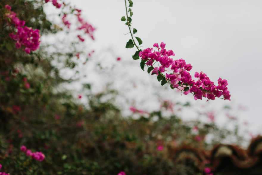 Beer and Gardens in San Diego – Photo by Let's Frolic Together