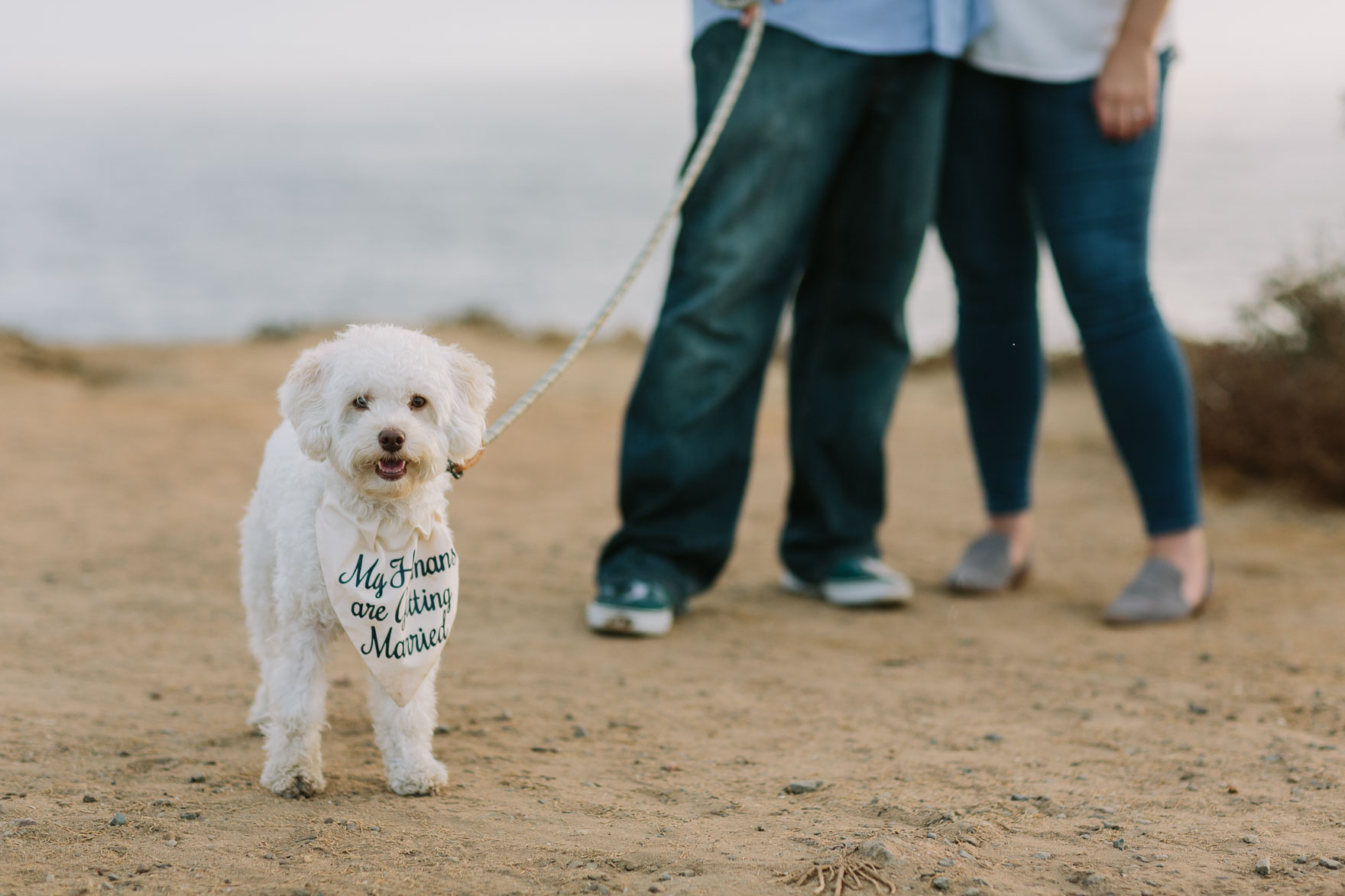 A Coastal Puppy Adventure – Photo by Let's Frolic Together
