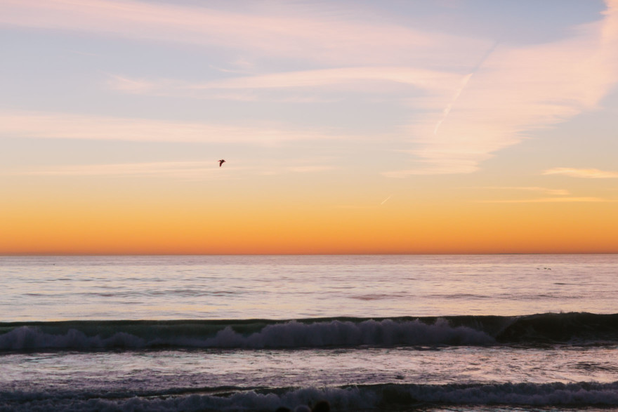 A Beachy Neighborhood Frolic &ndash; Photo by Let's Frolic Together