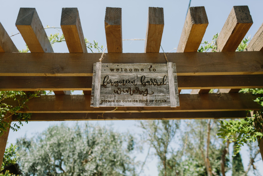Rustic Star Wars-Inspired Union &ndash; Photo by Let's Frolic Together