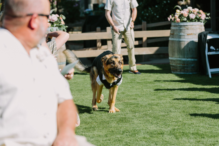 Rustic Star Wars-Inspired Union &ndash; Photo by Let's Frolic Together