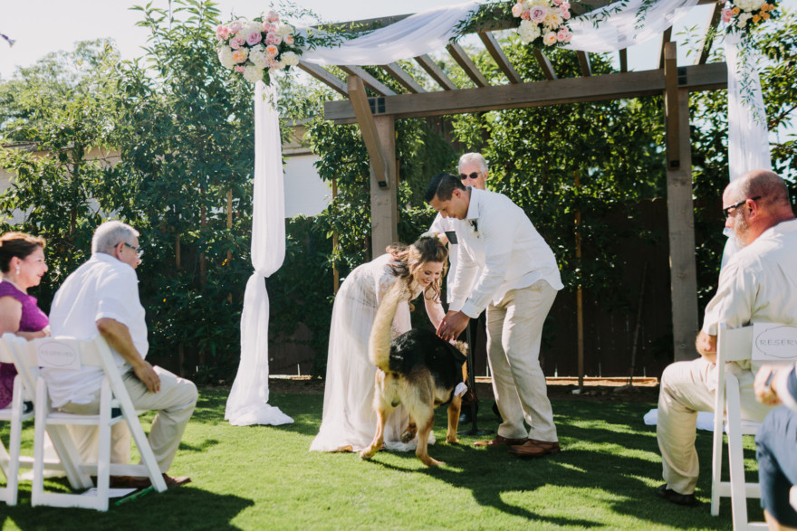 Rustic Star Wars-Inspired Union &ndash; Photo by Let's Frolic Together