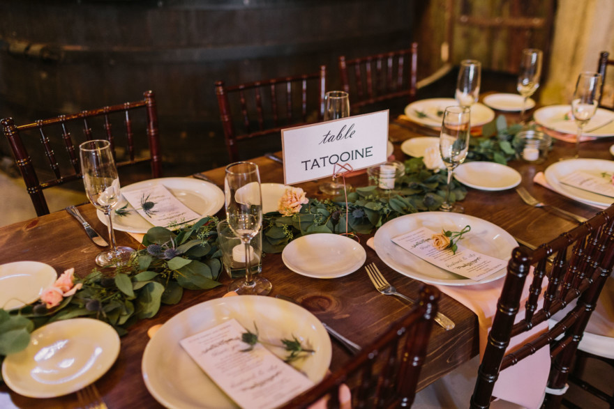 Rustic Star Wars-Inspired Union &ndash; Photo by Let's Frolic Together