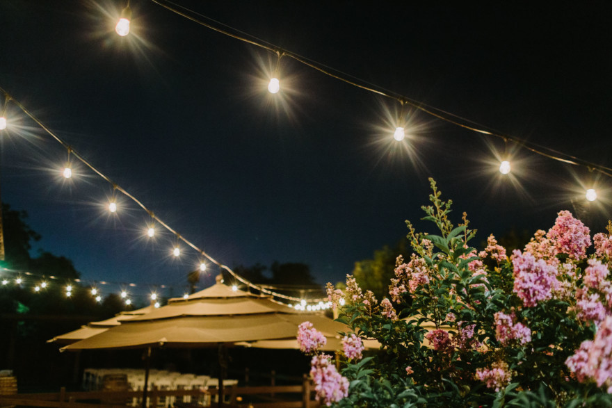 Rustic Star Wars-Inspired Union &ndash; Photo by Let's Frolic Together