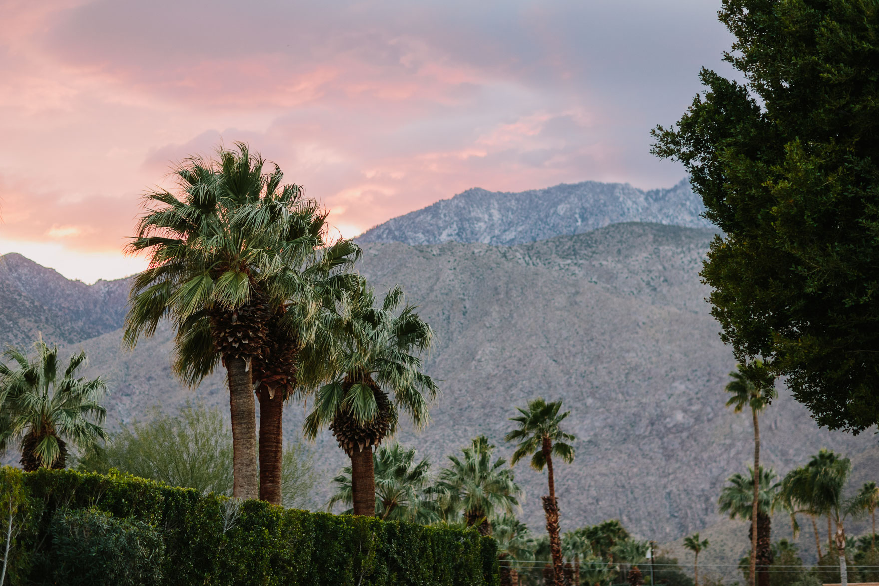A Midcentury Modern Good Time – Photo by Let's Frolic Together