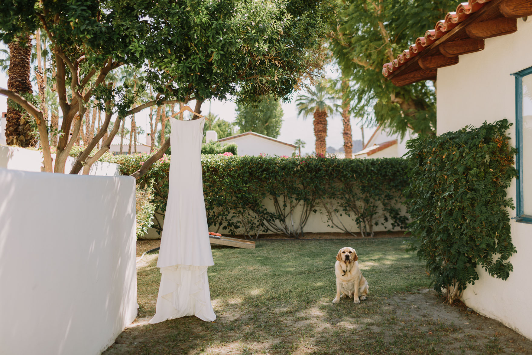 A Grand Desert La Quinta Bash – Photo by Let's Frolic Together