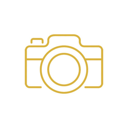 Camera Bodies: Canon R6s and 5D Mark IVs