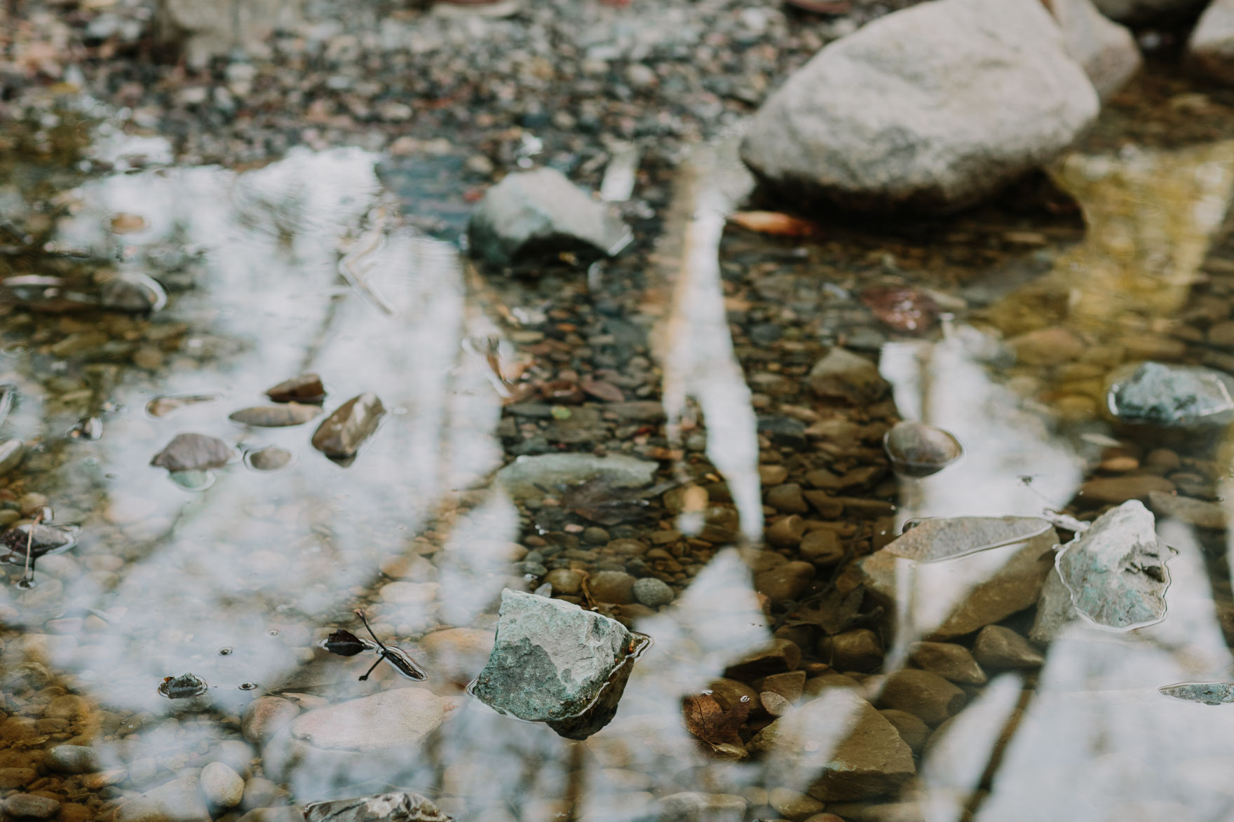 Toddler Trail Exploring – Photo by Let's Frolic Together