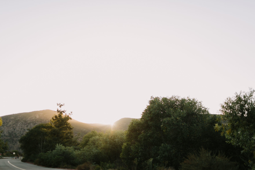 Dog Days of Summer Love – Photo by Let's Frolic Together