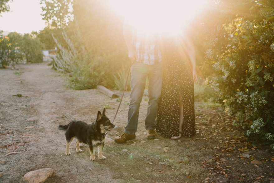 Rustic Beer & Pup Excursion – Photo by Let's Frolic Together