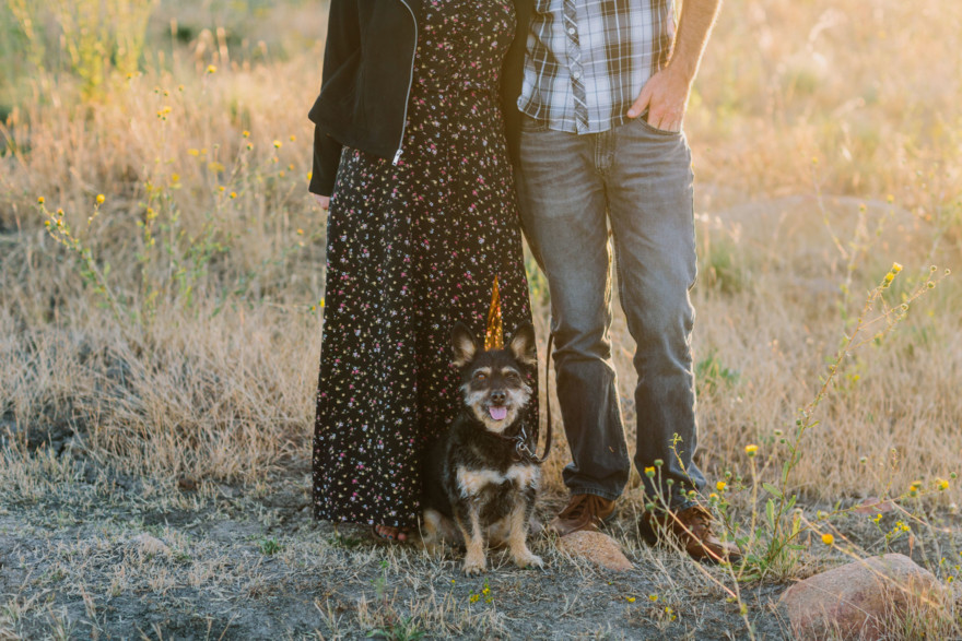Rustic Beer & Pup Excursion – Photo by Let's Frolic Together