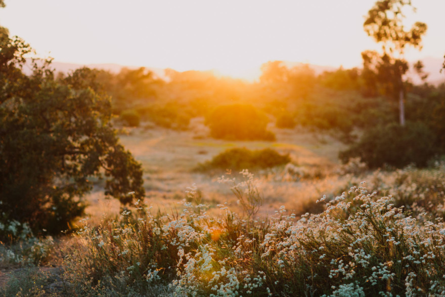 Rustic Beer & Pup Excursion – Photo by Let's Frolic Together