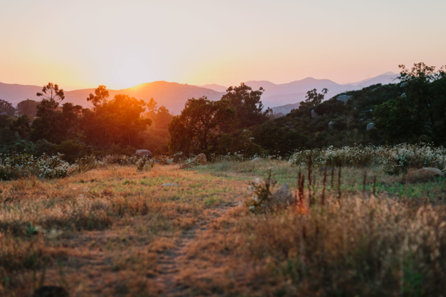 Rustic Beer & Pup Excursion – Photo by Let's Frolic Together