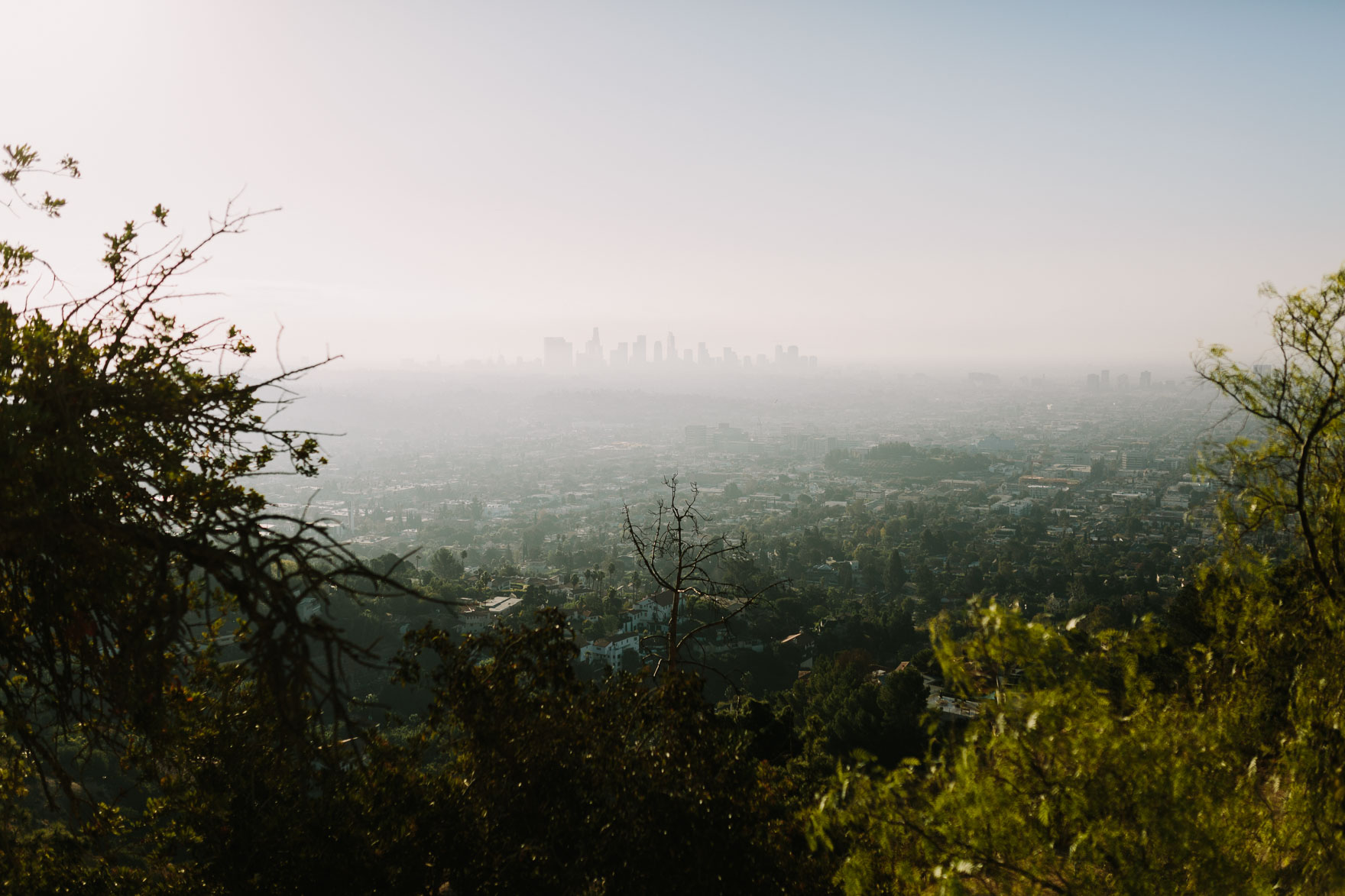 Surprise Proposal High above LA – Photo by Let's Frolic Together